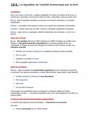 La régulation de l’activité économique par le droit