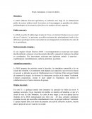 Projet d'animation DEAES "Coincer la bulle" Projet d'animation DEAES "Coincer la bulle"