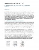 Grand oral sur la simplification de la multiplication