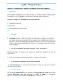 Synthèse sur les stratégies d'entreprises