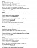 Les fonctions grammaticales - exercices