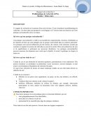 Rapport de recherche, la pratique socioculturelle