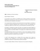 Candidature au poste de vendeuse Candidature au poste de vendeuse