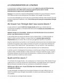 La consommation de l'énergie