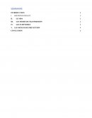 Exposé sur le SIDA et les IST