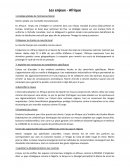 Les enjeux de Monin en Afrique