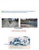 La réparation environnementale post conflit: conséquences et enjeux juridiques de la restauration de sols contaminés après l'utilisation d'armes chimiques