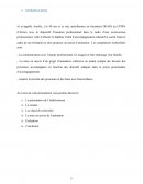 Dossier DF3 animation