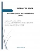 Rapport de stage Hôpital DRAGUIGNAN Rapport de stage Hôpital DRAGUIGNAN