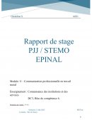 Rapport de stage PJJ Stemo DEASS